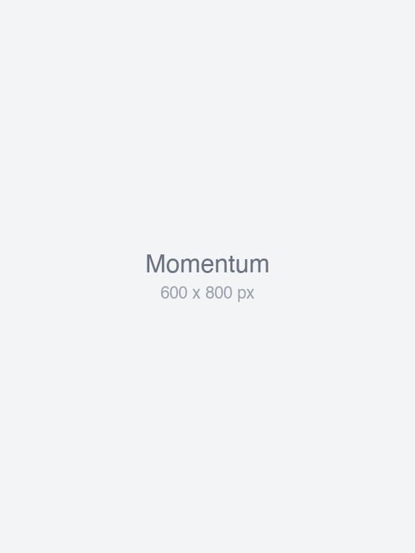 Momentum